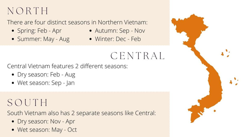 North, Central, and South Vietnam Comparison