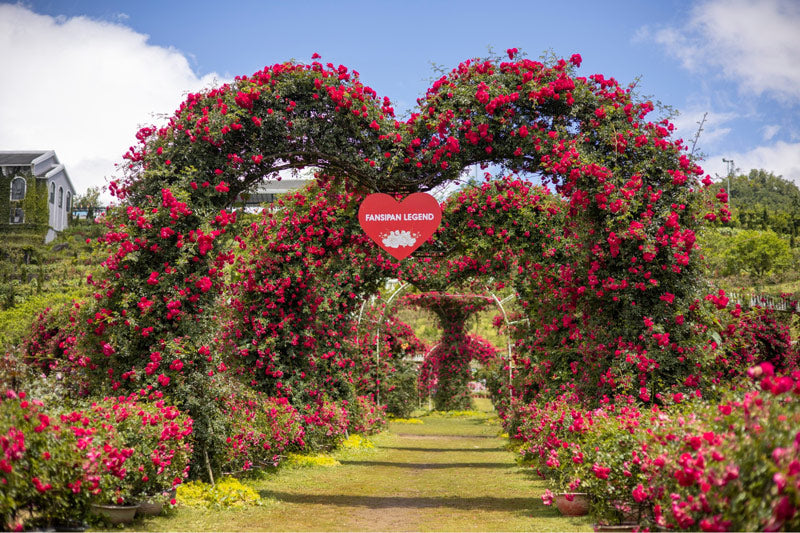 Sapa – The Romantic Highland
