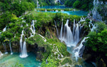 Highlights of Cuc Phuong National Park in Ninh Binh