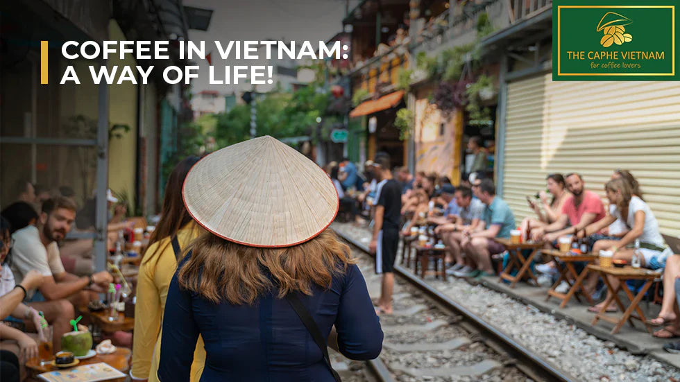 Coffee Culture Across Vietnam: From North to South