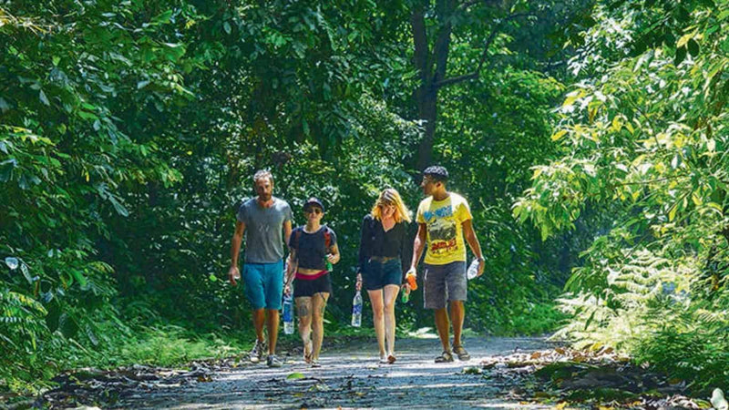Highlights of Cuc Phuong National Park in Ninh Binh