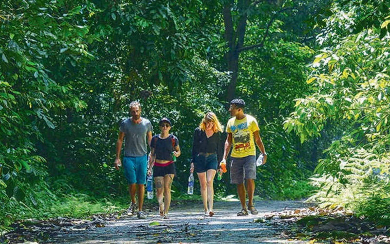 Highlights of Cuc Phuong National Park in Ninh Binh