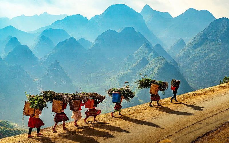 Off-the-Beaten-Path Destinations: A Gentle Escape into Nature