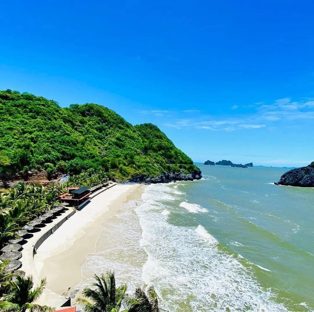 3D2N Cat Ba : LAN HA BAY ( half day) - VIET HAI VILLAGE - CATBA NATIONAL PARK