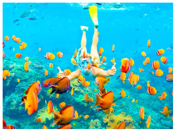 4D3N: HO CHI MINH CITY - PHU QUOC