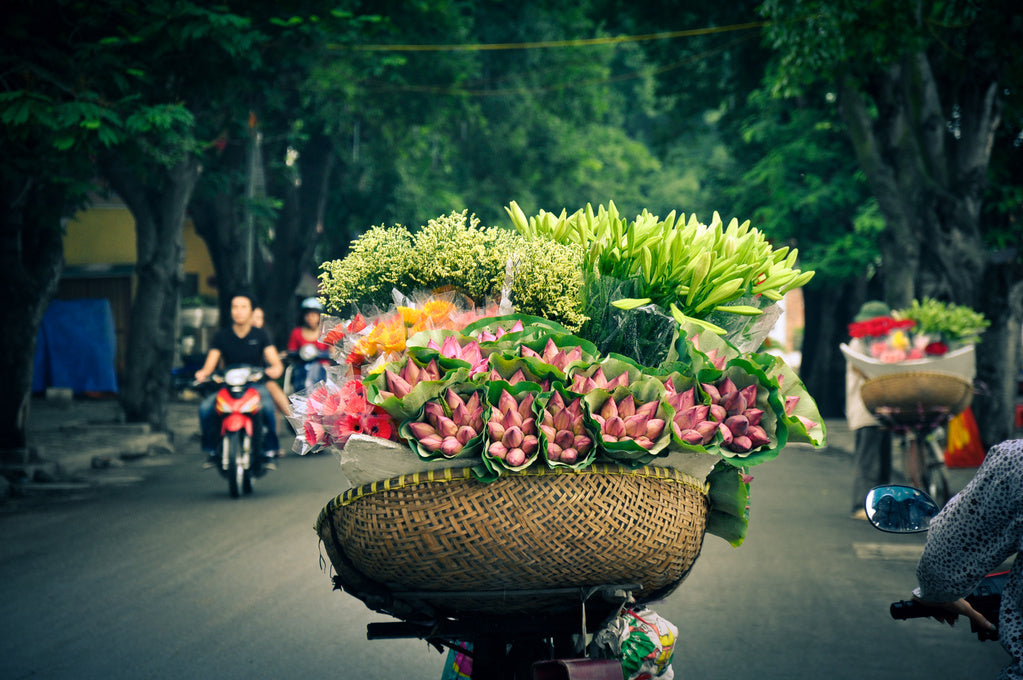 4 Hour Private Hanoi Local Experience: Food - Coffee - Wellness