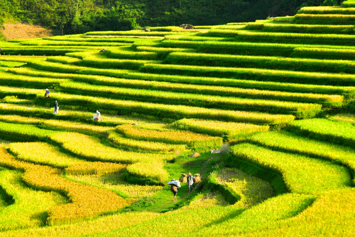5D4N: HANOI-SAPA–HALONG BAY