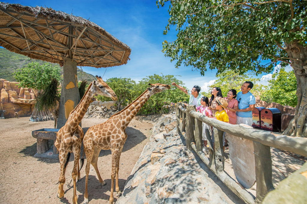 7D6N-DANANG-HUE-HOIAN-PHUQUOC