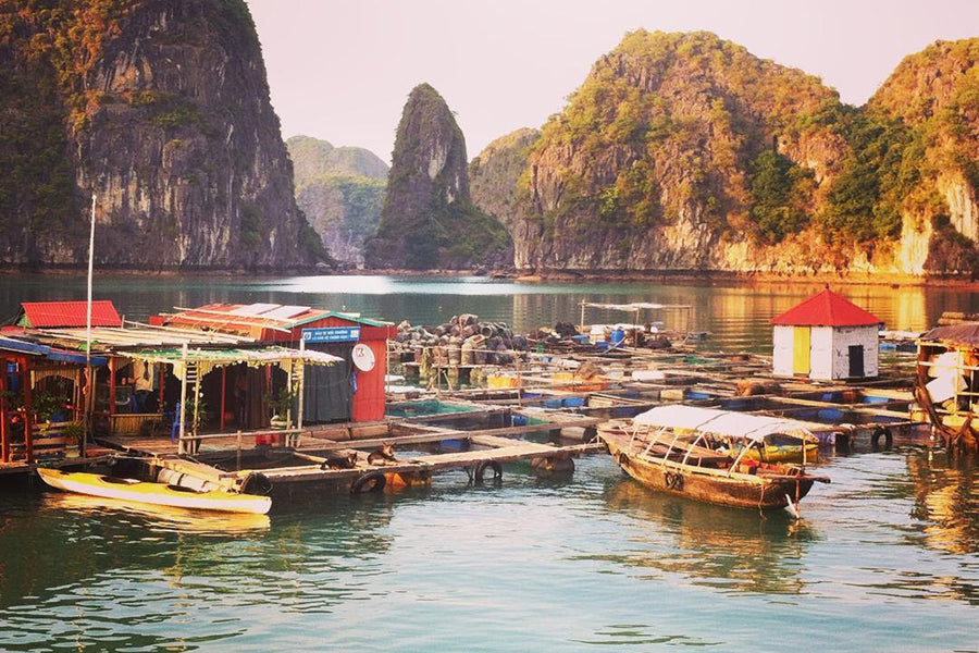 3D2N Cat Ba : LAN HA BAY ( half day) - VIET HAI VILLAGE - CATBA NATIONAL PARK