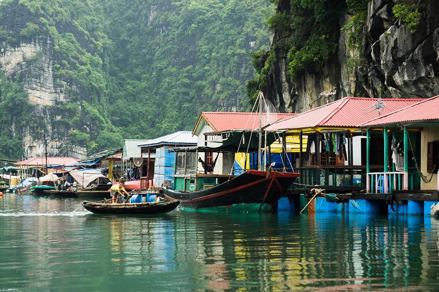 3D2N Cat Ba : LAN HA BAY ( half day) - VIET HAI VILLAGE - CATBA NATIONAL PARK