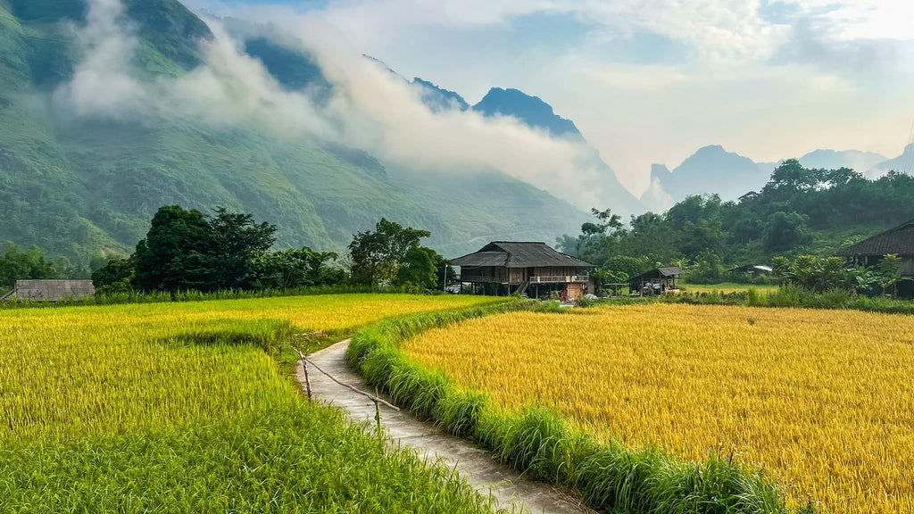 3D3N - HA GIANG LOOP TOUR