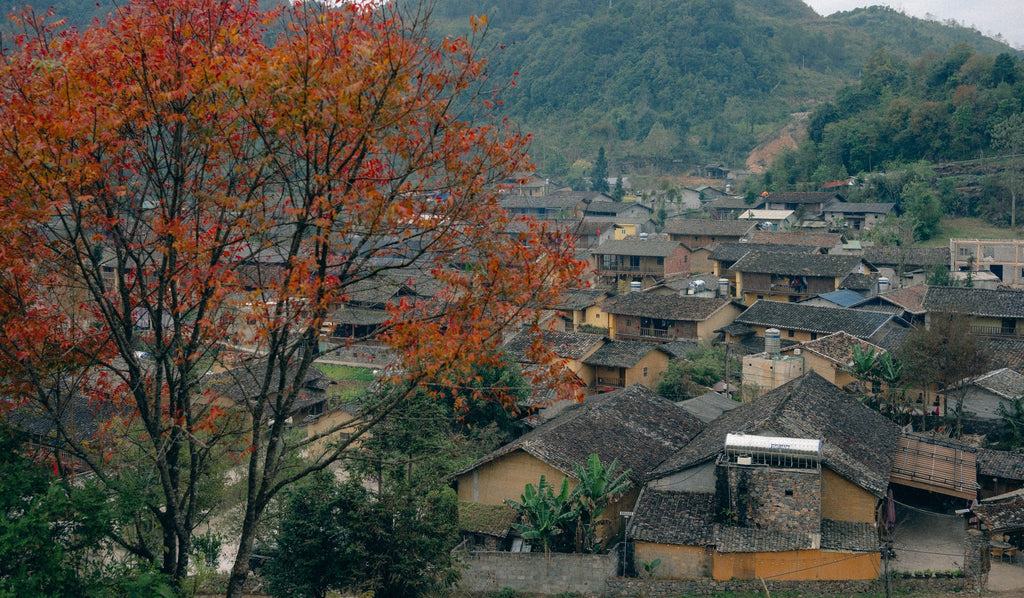 3D3N - HA GIANG LOOP TOUR