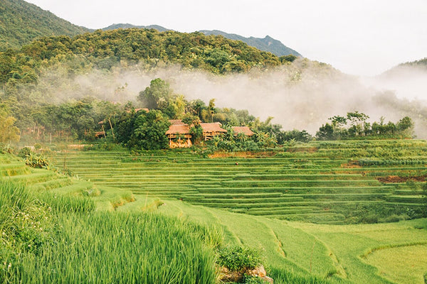 2D1N PU LUONG TREKKING TOUR