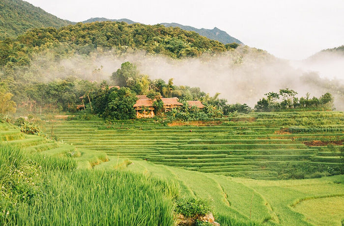 2D1N PU LUONG TREKKING TOUR