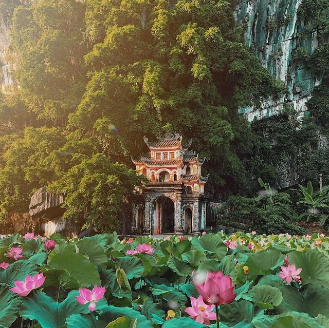 Vietnam Highlights: From North to Central