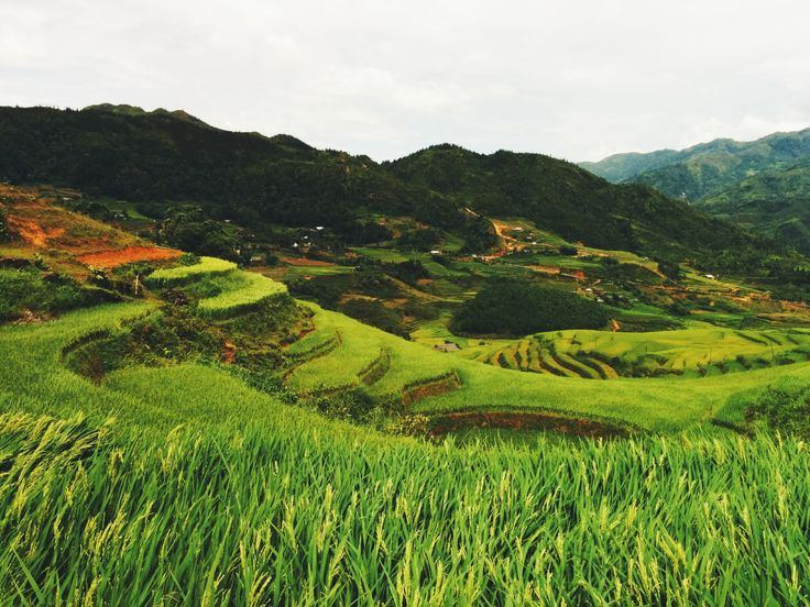 Mu Cang Chai & Halong Bay