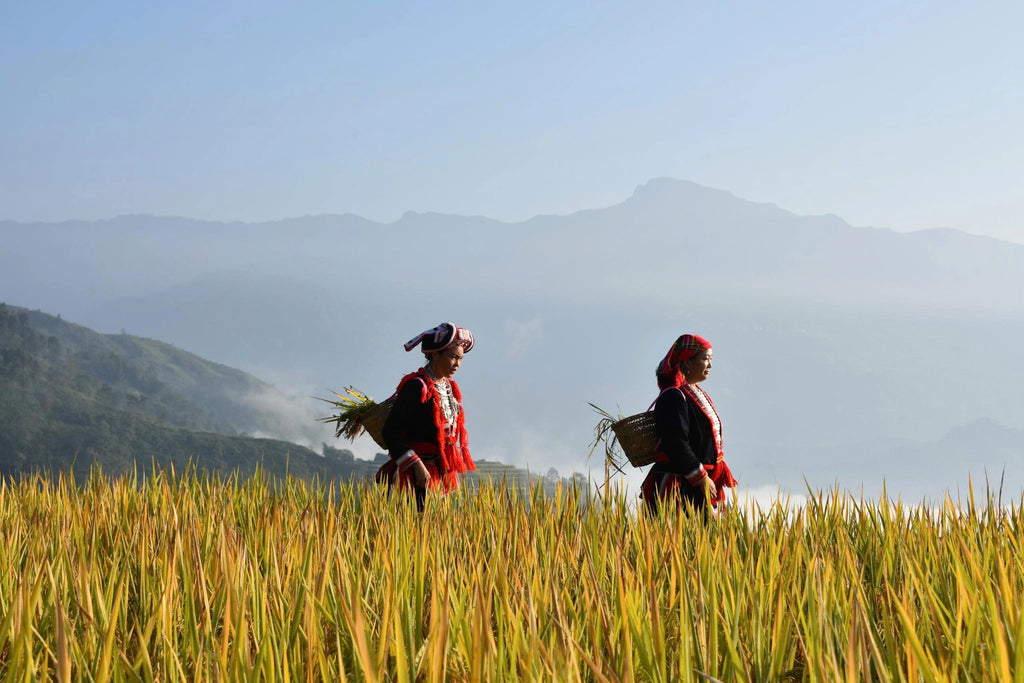 3D3N - HAGIANG:  HANOI–HAGIANG–LUNGCU–DONGVAN–MAPILENG