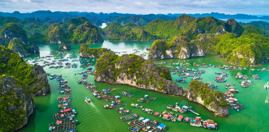 12D11N Rail Experience: HA NOI-HALONG BAY-NINH BINH-DA NANG-HOI AN-NHA TRANG-HO CHI MINH CITY