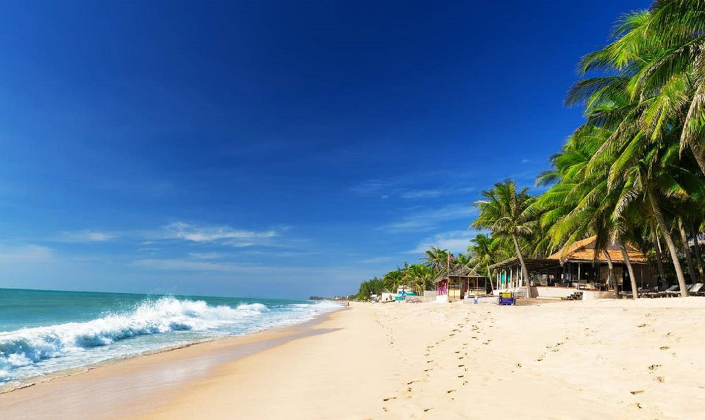 3D2N: HO CHI MINH CITY - MUI NE - PHAN THIET