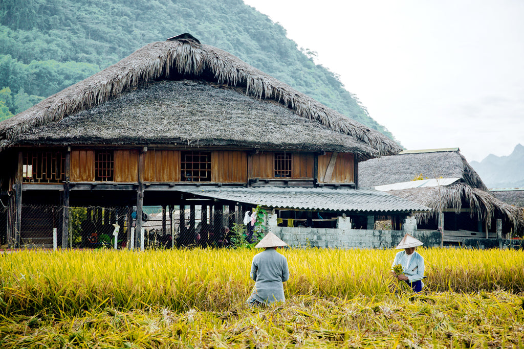 3D3N - HA GIANG LOOP TOUR