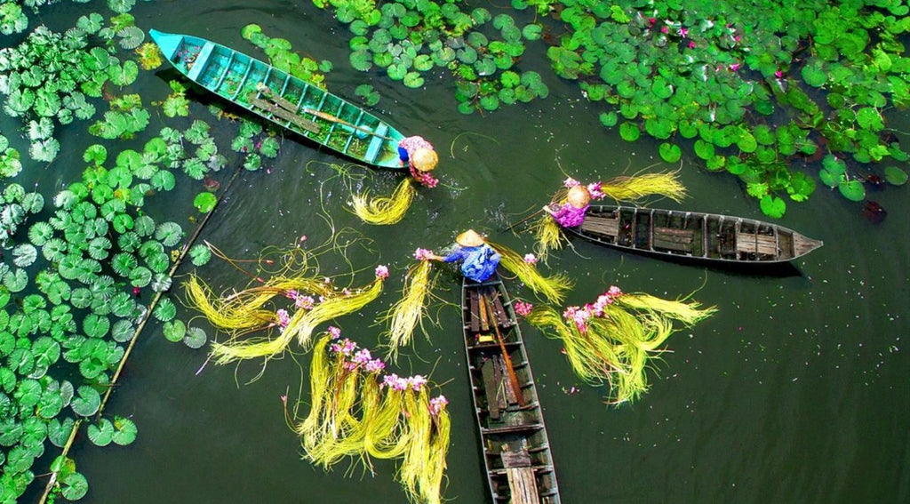 3D2N: HOCHIMINH CITY-CUCHI TUNNEL-MEKONG DELTA