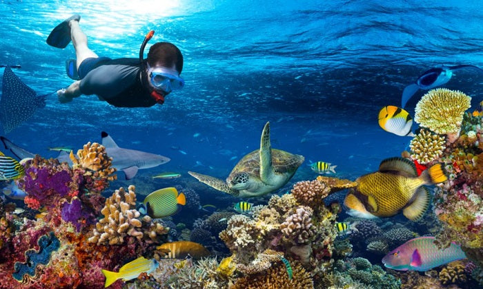 4D3N- Phu Quoc: 3 Island Speedboat Tour - Hon Thom Cable Car