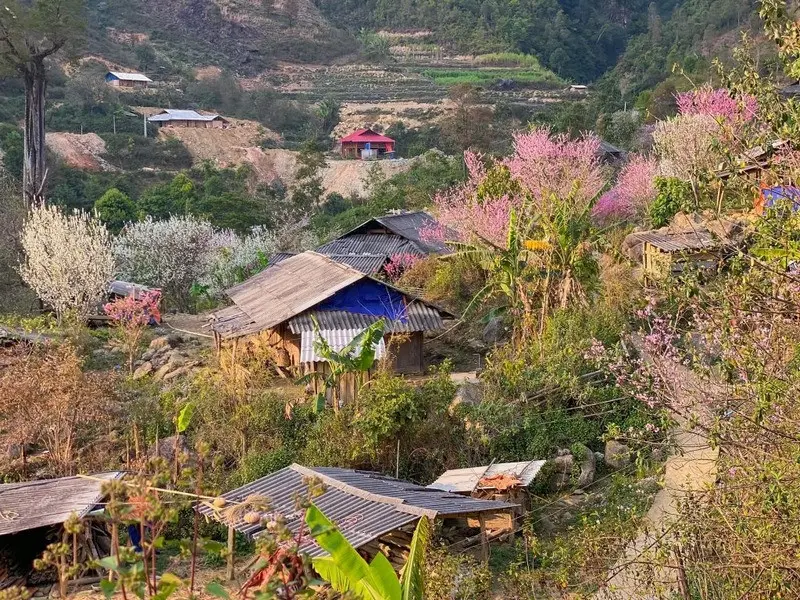 2D1N : Ha Noi - Ta Xua