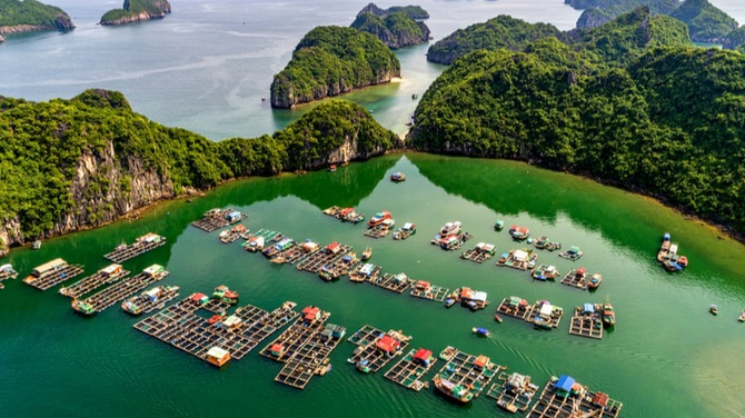 1D - HALONG BAY:  HALONG BAY ON CRUISE