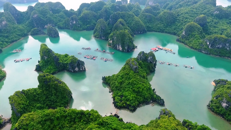 1D - HALONG BAY:  HALONG BAY ON CRUISE