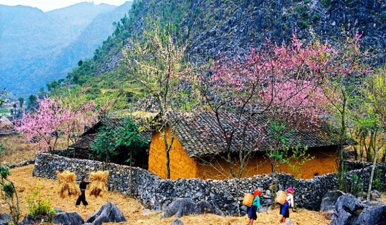3D3N - HAGIANG:  HANOI–HAGIANG–LUNGCU–DONGVAN–MAPILENG