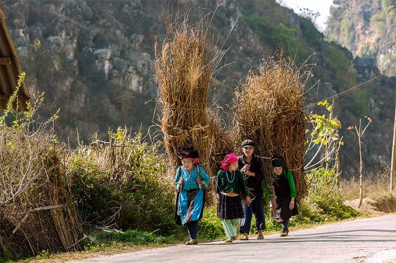 3D3N - HA GIANG LOOP TOUR