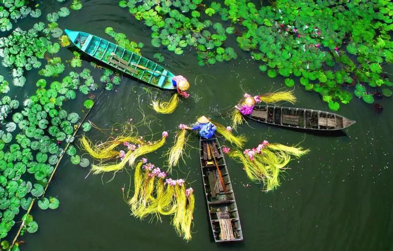 7D6N Rail Experience: DA NANG - HOI AN - NHA TRANG - HO CHI MINH