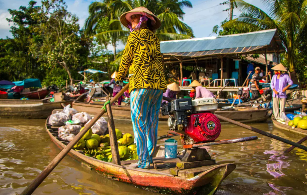Vietnam Highlights