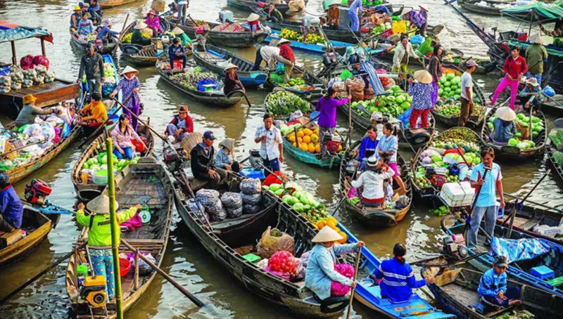 Vietnam Highlights