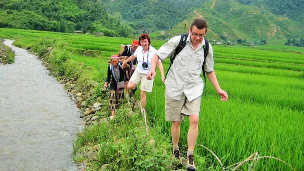 Vietnam Highlights