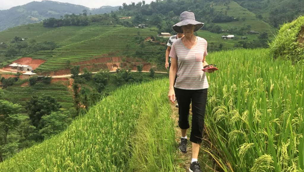 Mu Cang Chai & Halong Bay