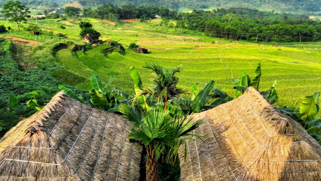 Pu Luong & Halong Bay