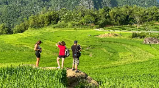 Pu Luong & Halong Bay