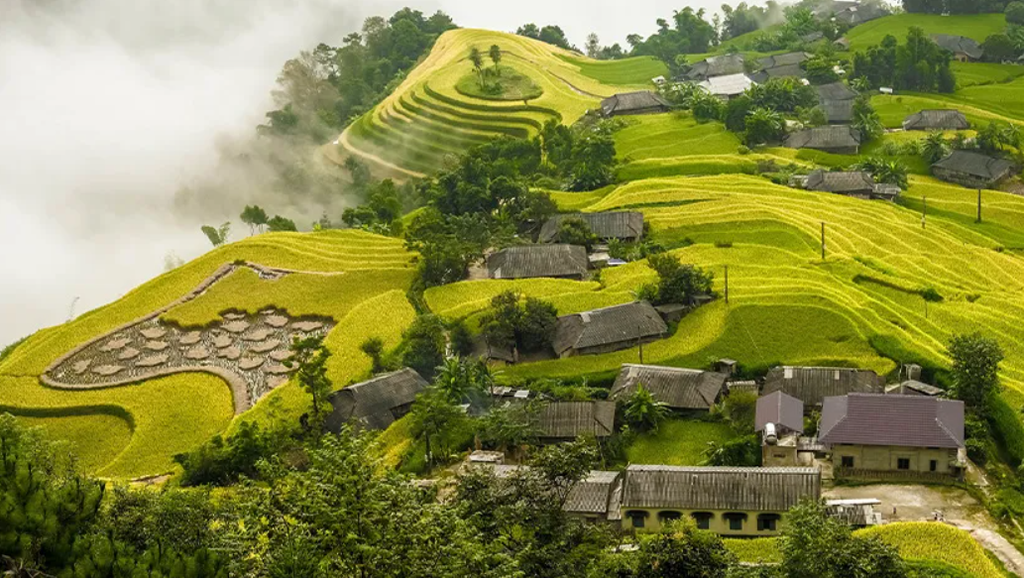 Ha Giang & Halong Bay Tour