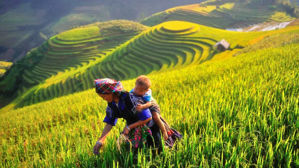 Northeast Vietnam Loop