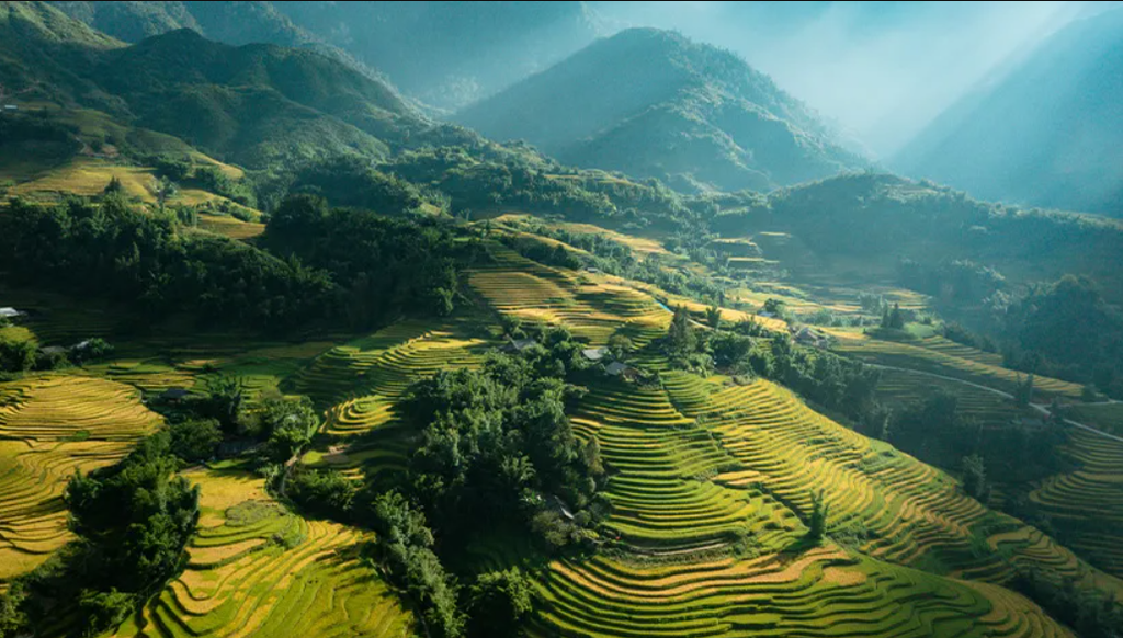 8-day Hanoi Sapa Ninh Binh Halong Bay