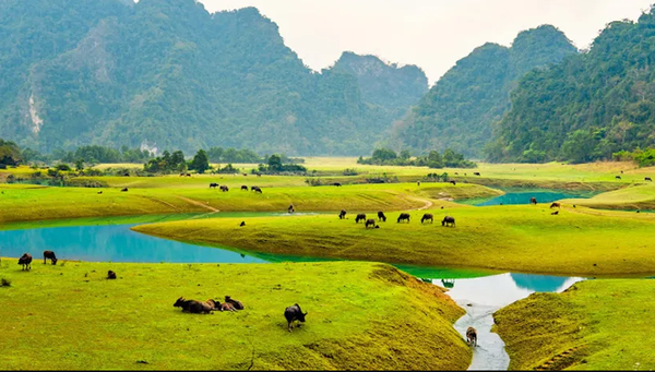 Vietnam Impression