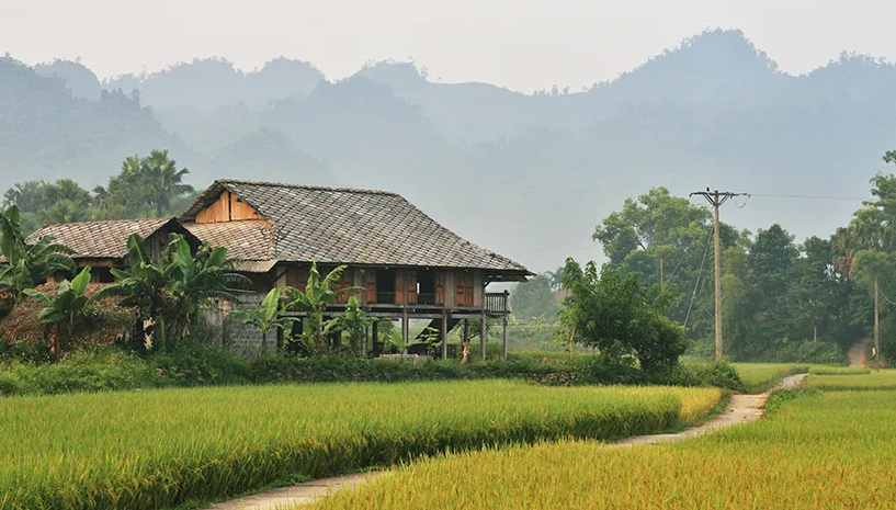 Ha Giang & Halong Bay Tour