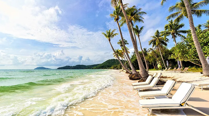 Essence of Vietnam