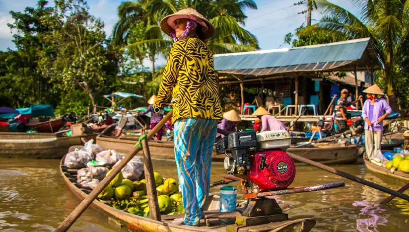 Vietnam Essence: From North to South