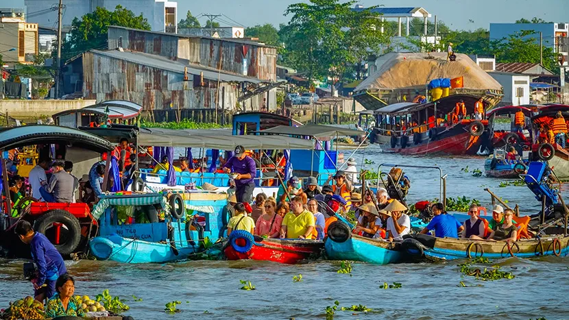 Vietnam Essence: From North to South