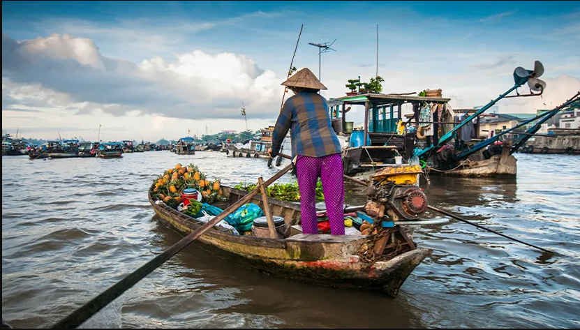 Vietnam Essence: From North to South