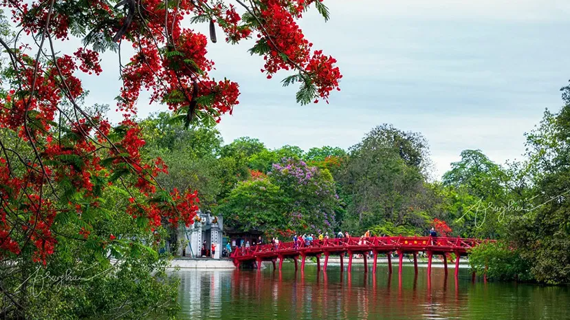 Northern Charm: Culture, Nature & Craftsmanship