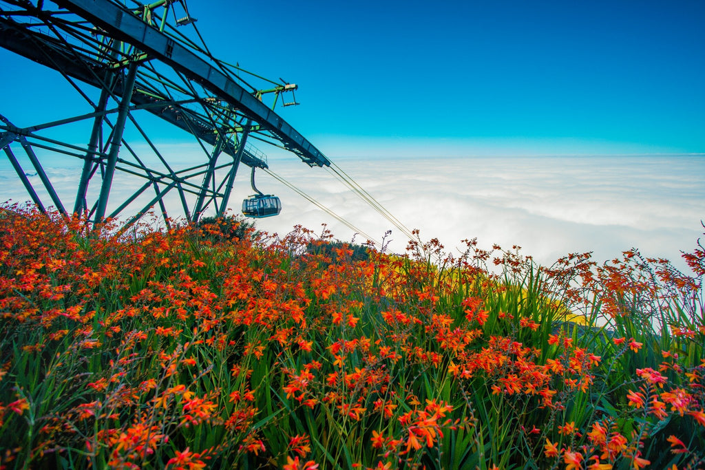 2D2N-SAPA:  SAPA-CAT CAT/ TA VAN–O QUY HO PASS RONG MAY GLASS BRIDGE