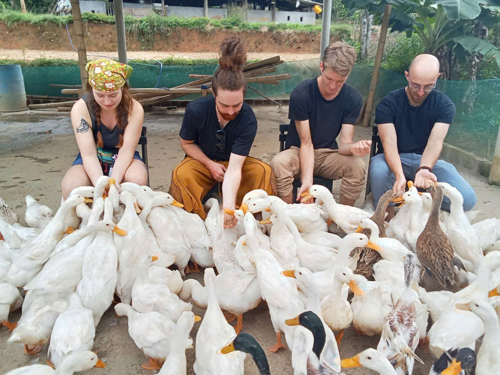 3D2N - QUANG BINH PHONG NHA - DARK CAVE - PARADISE CAVE - DMZ TOUR